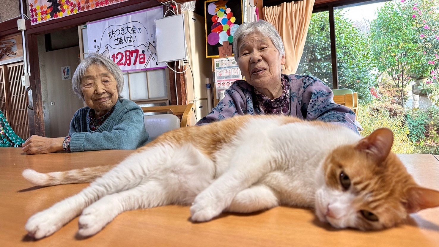 猫のいるテーブルを囲んで過ごす利用者さんたち